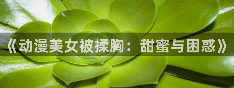 囧次元动漫官方正版